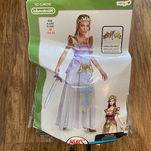 Zelda Warrior Costume